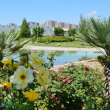 Modern Bursa