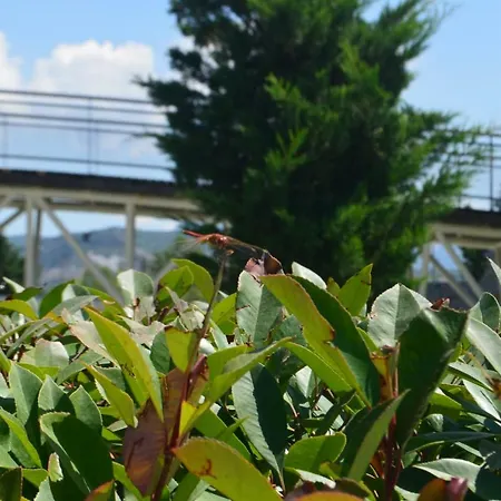 Modern * Bursa